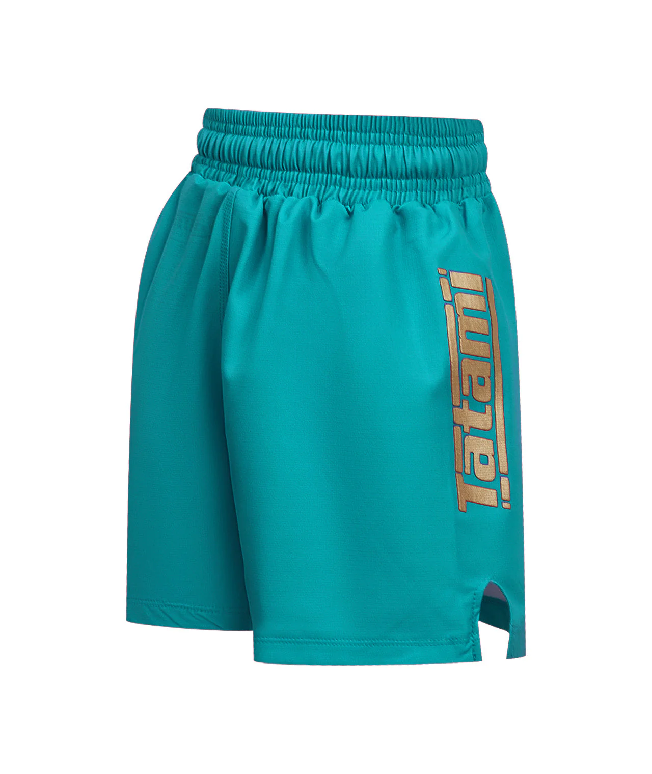 Kids Tatami Pro Grappling Shorts - Teal - Image 4