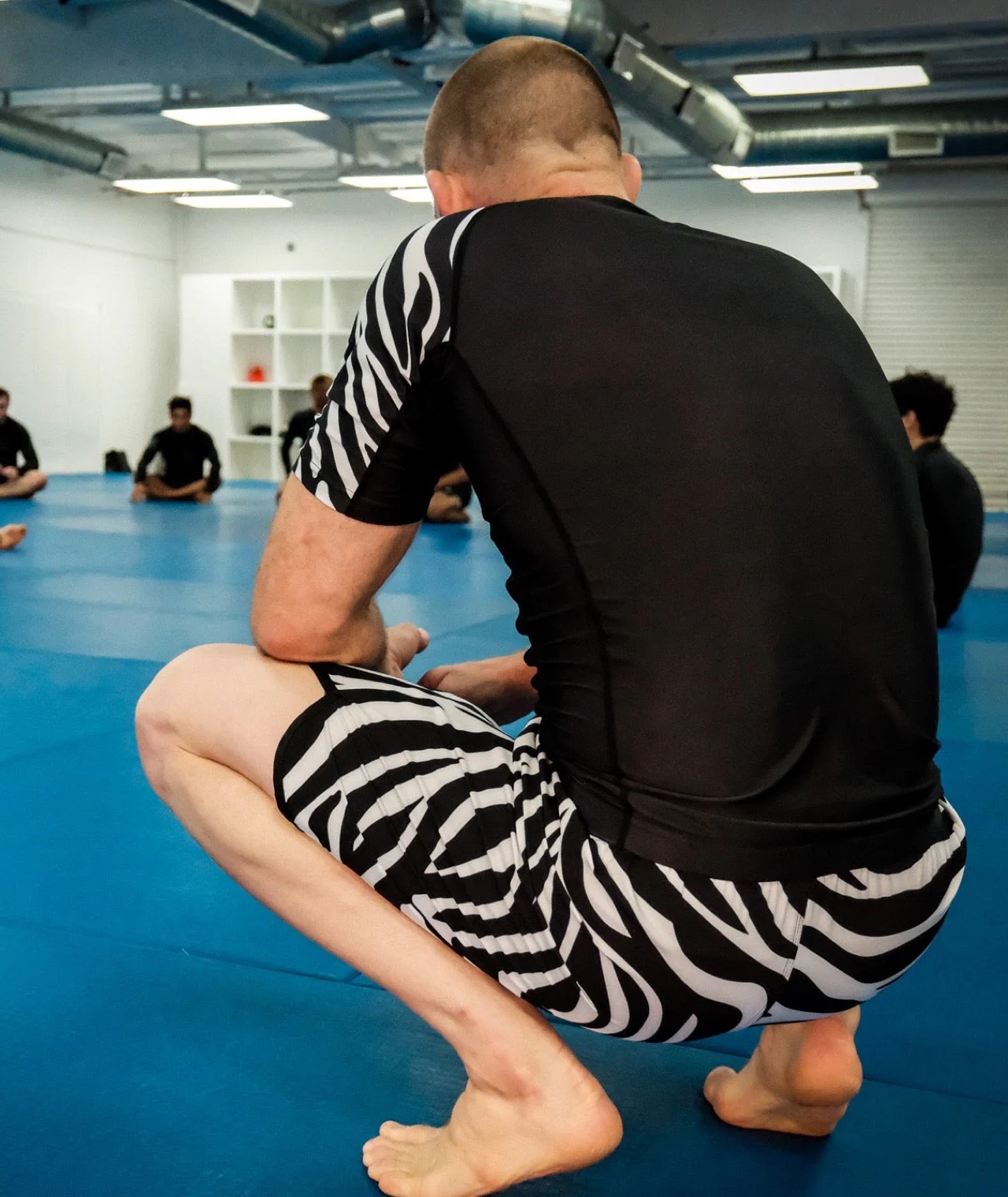 Recharge Grappling Shorts - Zebra - Image 7